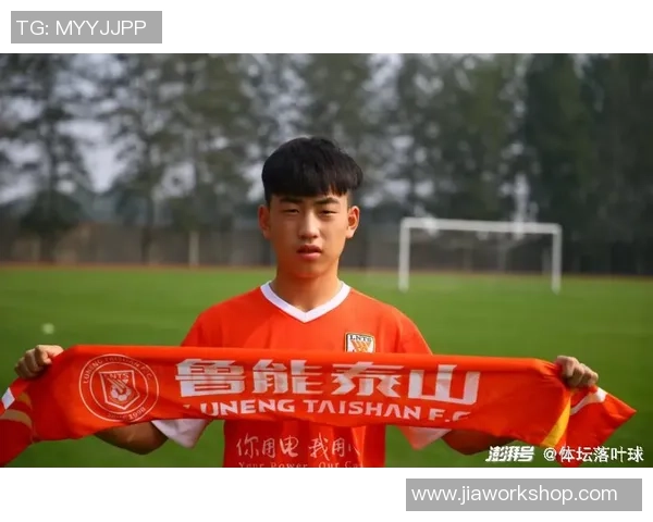 南京羽毛球队在总决赛积分榜上以80分稳居第一位置展现强劲实力