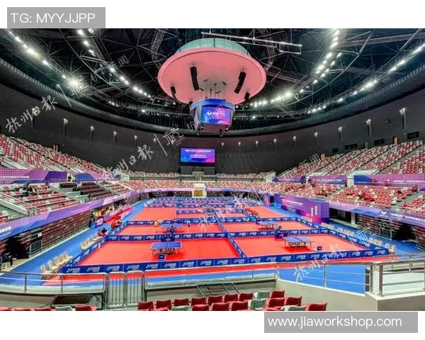 深入分析杭州乒乓球队的盯防战术与技术特点